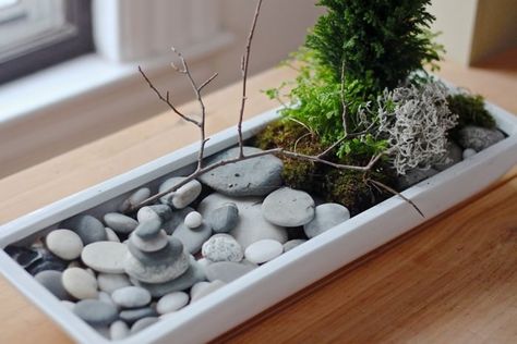 Make Your Own - DIY Mini Zen Gardens | The Garden Glove Mini Zen Garden Design, Jardin Zen Miniature, Tabletop Zen Garden, Mini Jardin Zen, Indoor Zen Garden, Desktop Zen Garden, Miniature Zen Garden, Tattoo Plant, Mini Zen Garden