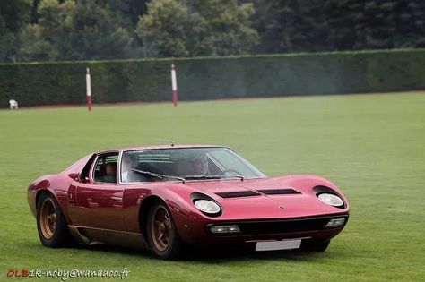 Lamborghini Miura SV is listed (or ranked) 22 on the list Full List of Lamborghini Models Lamborghini Miura Sv, Cars Models, Lamborghini Models, Lamborghini Miura, Lamborghini Cars, Speed Up, The List, Lamborghini, Car Model