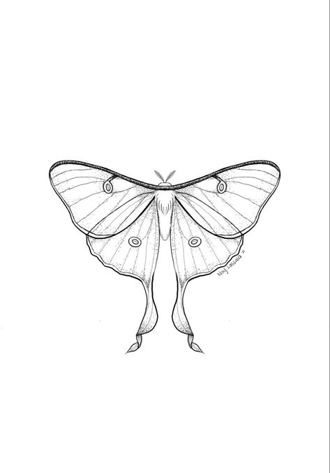 Luna Moth Line Drawing, Tiny Luna Moth Tattoo, Luna Moths Tattoos, Lunar Moth Sketch, Luna Moth Tattoo Outline, Tiny Moth Tattoo Simple, Simplistic Moth Tattoo, Lunar Moth Tattoos, Luna Moth Tattoo Ideas