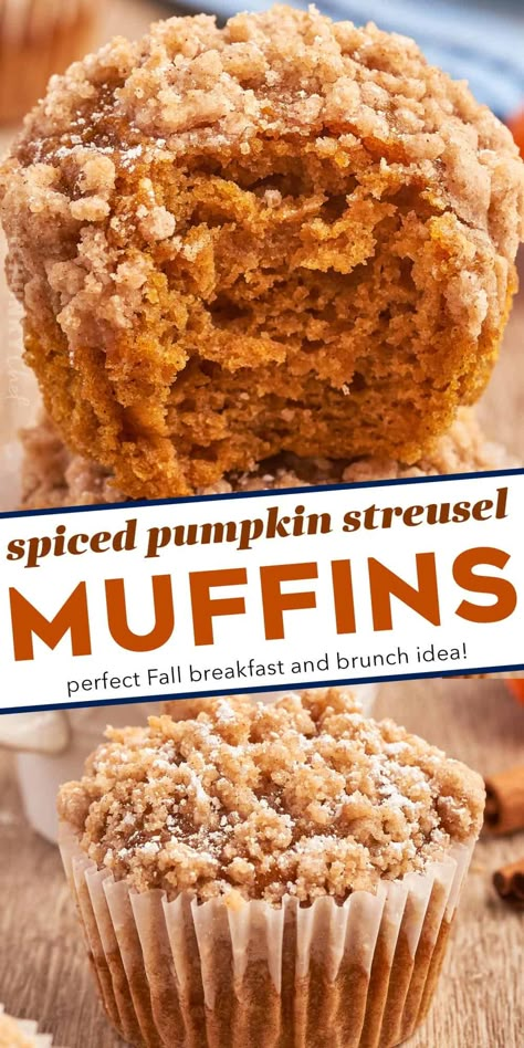 These bakery-style Spiced Pumpkin Streusel Muffins are soft and tender, and bursting with pure Fall flavor in every bite! Perfect as a breakfast or snack, these muffins are also freezer-friendly. Oatmeal Pumpkin Muffins, Pumpkin Pecan Muffins, Apple Streusel Muffins, Pumpkin Oatmeal Muffins, Pumpkin Streusel, Pumpkin Streusel Muffins, Pecan Muffins, Apple Streusel, Pumpkin Muffin Recipes