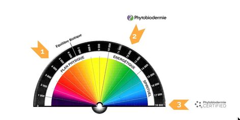 A picture of the Bovis scale applied to PHYTO5 (Phytobiodermie) quantum energetic skincare registering at the highest level for this scales Frequency Chart, Vibrational Frequency, Unique Selling Proposition, Plant Based Skincare, Electromagnetic Radiation, Body Systems, Doctor Medical, Negative Emotions, The Energy