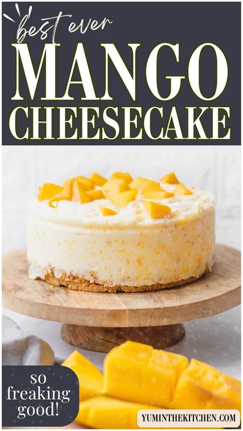 Looking for an easy, no bake dessert? Try this mango cheesecake recipe! It's creamy, refreshing, and features an easy graham cracker crust. Perfect for when you want a quick and delicious treat without turning on the oven. Ideal for summer parties or a family dessert night. Best Mango Cheesecake Recipe, Mango No Bake Cheesecake, No Bake Mango Cheesecake Recipes, Mango Desserts Recipes, Easy Graham Cracker Crust, Mango Cheesecake Recipe, No Bake Mango Cheesecake, Low Fat Cheesecake, Cheesecake Healthy