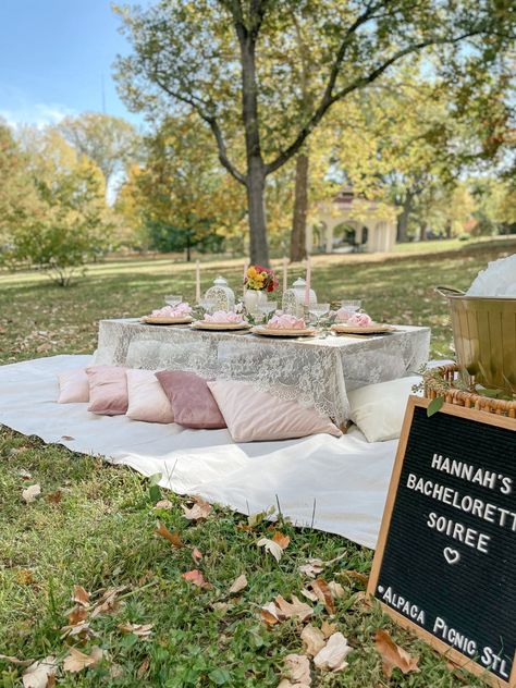 Bachelorette Picnic Party, Picnic Bridesmaid Proposal, Bridgerton Bachelorette Party Ideas, Bridgerton Themed Picnic, Bachelorette Party Picnic, Bachelorette Picnic Ideas, Bridesmaid Proposal Picnic, Bridgerton Theme Party Decor, Bride To Be Party Decoration Ideas