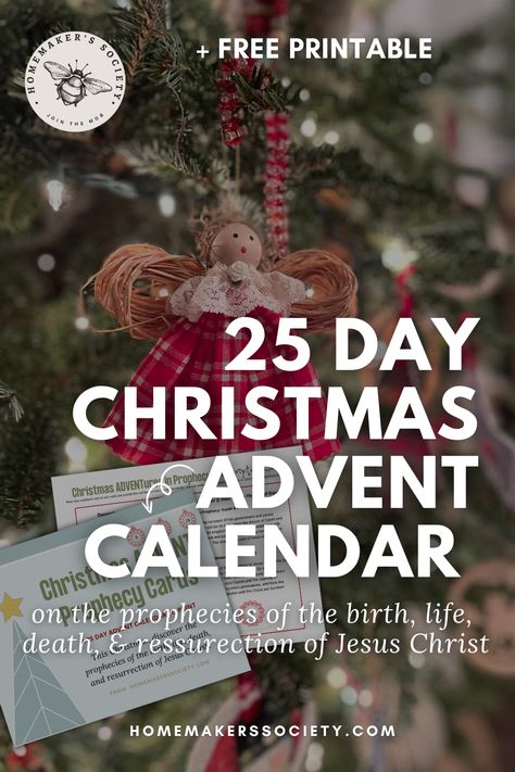 Christmas Advent Calendar: Scripture Cards | Free Printable Advent Readings For Adults, Advent Scripture Printable, Advent Devotionals For Women, Christian Advent Calendar Ideas Diy, Advent Calendar Scripture, Advent Calendar Free Printable, Christian Christmas Printables, Religious Advent Calendar, Advent Calendar Christian