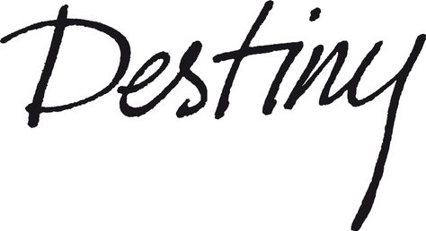 How to find your destiny and allow it to manifest in your life Destiny Name, Living Your Truth, How To Find, Teamwork, Destiny, A Team