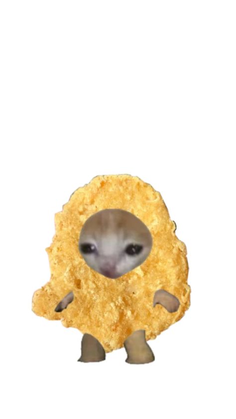 He's a chickin nugget🤪🔥 Chicken Nugget Pfp, Cat Chicken Nugget, Food Cat, Cat Pfp, Chicken Nugget, Food Memes, Cat Costume, Chicken Humor, Cat Boarding