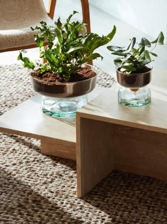 Cake Stand With Dome, Small Pots, Plants Are Friends, Bring Nature Indoors, Heritage Crafts, Glass Planter, Indoor Gardens, Self Watering Planter, Candle Vase