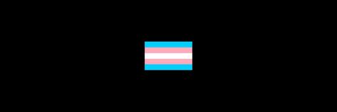 Trans Twitter Header, Pride Header, Trans Things, Grey's Anatomy Doctors, Discord Banner, Cute Headers, Twitter Banner, Trans Pride, Lgbt Art