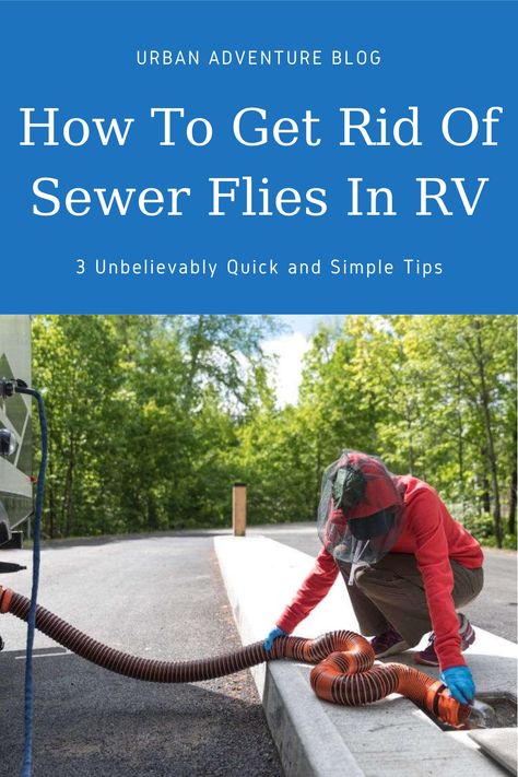 Are you wondering how to get rid of sewer #flies in #RV? Ease your worries and eliminate these pesky bugs once and for all with these practical tips. Rv Water Heater, Waste Tanks, Rv Adventure, Septic System, Dirty Water, Water Sources, Black Water, Water Storage, Rv Life