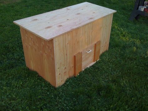 Basic Backyard Coop, Keep It Simple | BackYard Chickens - Learn How to Raise Chickens Backyard Ideas Cheap, Basic Backyard, Free Range Chickens Coop, Cheap Chicken Coops, Backyard Chicken Coop, Mobile Chicken Coop, Chicken Houses, Backyard Coop, Easy Chicken Coop