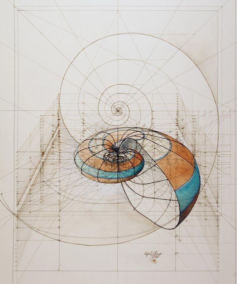 Architectural Renderings of Life Drawn with Pencil and Pen by Rafael Araujo drawing butterflies architecture 3d Fibonacci Spiral, Lines And Shapes, Colossal Art, Cultural Architecture, Math Art, Geometry Art, 수채화 그림, Golden Ratio, Art And Illustration