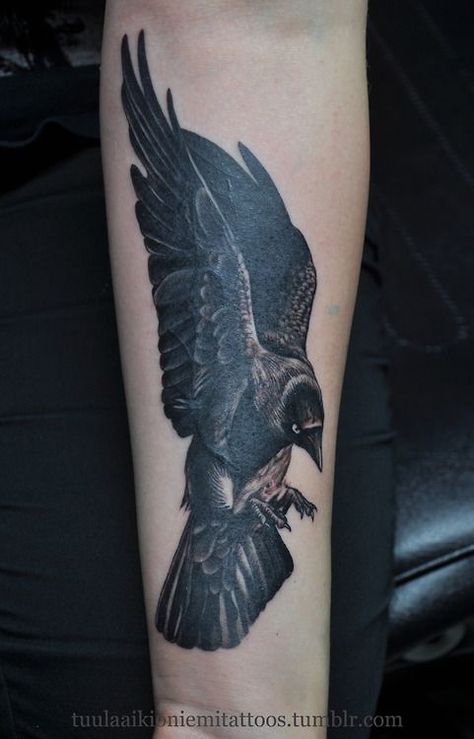 Jackdaw Tattoo, Crow Tattoos, J Tattoo, Tattoo Forearm, Crow Tattoo, Broken Wings, Jackdaw, Tat Ideas, Forearm Tattoos