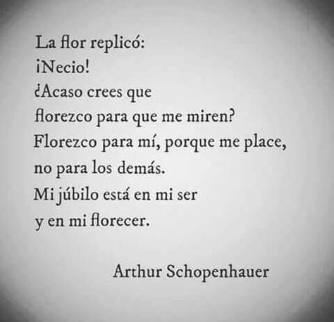 ...Florezco para mí, porque me place, no para los demás. Mi júbilo está en mi ser y en mi florecer. Artur Schopenhauer Quotes En Espanol, Arthur Schopenhauer, Frases Love, Love Phrases, Philosophy Quotes, Literary Quotes, Motivational Words, Spanish Quotes, More Than Words