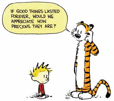 Calvin And Hobbes Humor, Best Calvin And Hobbes, Calvin Und Hobbes, Calvin And Hobbes Quotes, Funny Memes For Him, Bill Watterson, Calvin And Hobbes Comics, Memes For Him, Truth Of Life