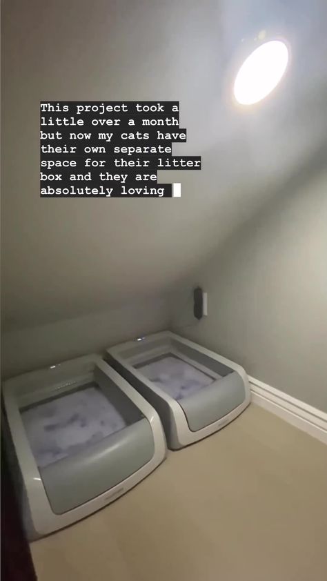 Cat Litter Room Under Stairs, Hidden Closet Under Stairs, Under Stairs Closet Cat Room, Understairs Cat Area, Under Stairs Ideas For Cats, Under Stair Litter Box Ideas, Cat Litter Box Under Stairs, Cat Closet Under Stairs, Cat Space Under Stairs