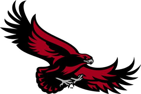 St. Joseph's Hawks Alternate Logo (2001) - Flying Red Hawk Saint Josephs University, Bedford Street, Hawk Logo, Team Theme, Secondary Logo, Philadelphia Sports, Team Avatar, Word Mark Logo, Virtual Museum