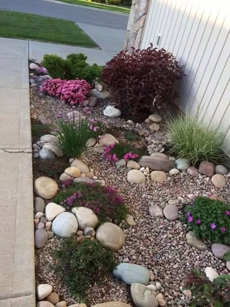 Rock Garden Design, Budget Garden, Front Yard Ideas, Rock Gardens, Rock Garden Landscaping, Dry Creek, Patio Landscaping, Outside Ideas, Landscaping Tips