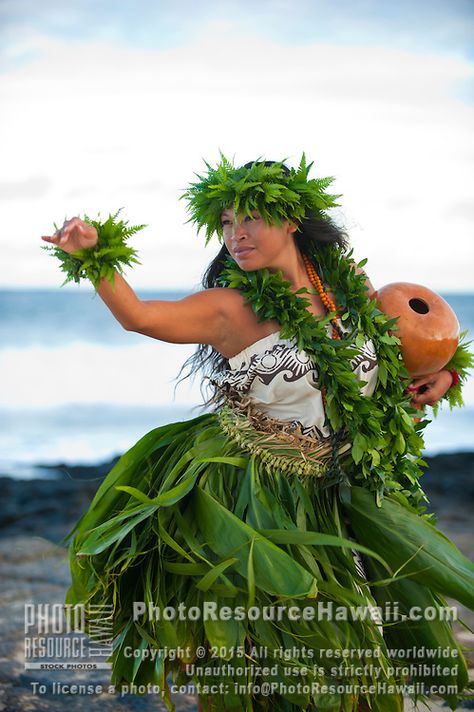 Hula Costume, Dancer Photo, Polynesian Women, Hula Dancing, Native American Teepee, Hawaiian Woman, Hawaii Hula, Celebrities Quotes, Hawaiian Dancers