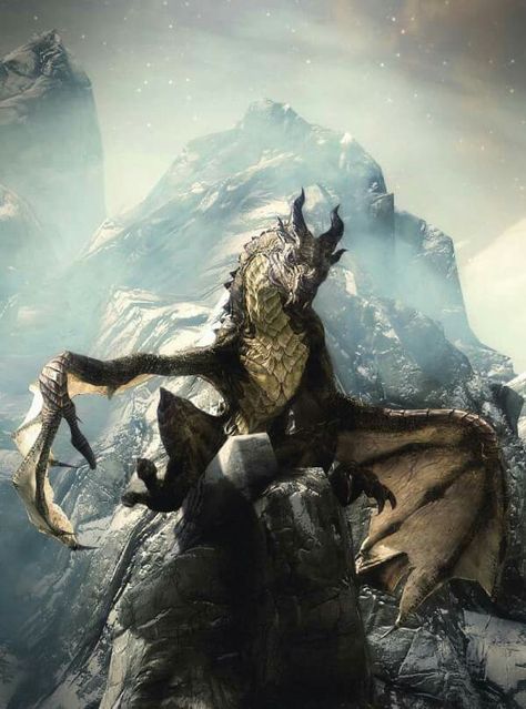 Elder Scrolls Oblivion, Skyrim Dragon, Scrolls Game, Skyrim Art, Legendary Dragons, Elder Scrolls Skyrim, Elder Scrolls V Skyrim, Cool Dragons, Fantasy Dragon