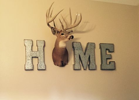 Finally found a way to hang Kevin's deer head that I actually love! Deer Antler Decor Living Room, House Schedule, Antler Ideas, Deer Antler Decor, Living Room Rustic, Antler Decor, Deer Mounts, Hunting Room, Barn Living