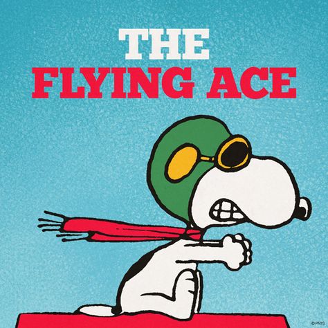 The Flying Ace Snoopy Pilot, Snoopy Flying, Charles Shultz, Sopwith Camel, Snoopy Comics, Snoopy Funny, Snoopy Images, Peanuts Cartoon, Flying Ace