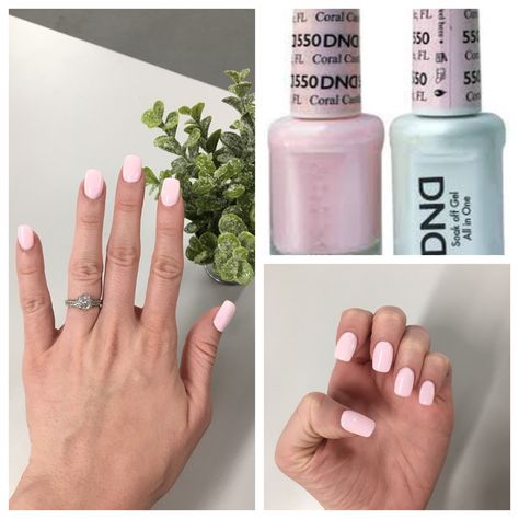 DND gel polish in Coral Castle (550) Dnd 551 Blushing Pink, 550 Dnd Nail Color, Geranium Pink Dnd, Dnc Pink Colors, Soft Pink Dnd Gel, Dnd Gel Pedicure, Dnd Gel Spring Colors, Coral Castle Nails, Spring Nails Dnd Gel