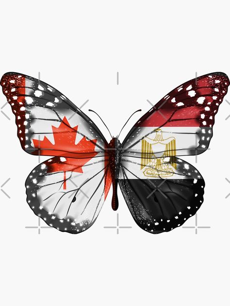 "Canadian Egyptian Butterfly With The Canada Egypt Flag On Wings" Sticker for Sale by Popini | Redbubble Egyptian Flag, Wings Sticker, Flag Of Canada, Flag Emoji, Egypt Flag, Wings Design, Heaven On Earth, Butterfly Design, Canada Flag