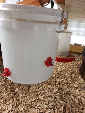 DIY Instructions for Very EASY heated waterer for under $20 bucks - Page 7 Chicken Bucket Feeder, Chickens Water Feeder, Bucket Chicken Waterer, Long Term Chicken Waterer, Chicken Diy Water Feeder, 5 Gallon Bucket Watering System For Chickens, Diy Chicken Coop Watering System, Chicken Waters Diy, 5 Gallon Bucket Chicken Waterer