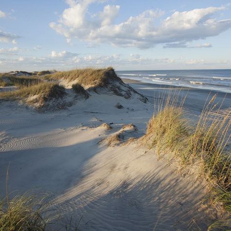 North Carolina Coastal Wedding, North Carolina Beach Wedding, Beach House Wedding Reception, Seashell Hunting, North Carolina Beach House, Coastal Wedding Venues, Atlantic Beach Nc, Beach Wedding Venues, Coastal North Carolina