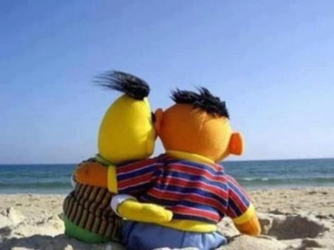 Bert and Ernie hugging on the beach Epi Y Blas, Beto Y Enrique, Ernie Und Bert, Die Muppets, Bert & Ernie, Bd Art, Fraggle Rock, Jim Henson, Tom And Jerry