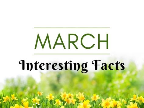 March Month Facts December Born, Birth Symbols, Birth Month Quotes, Birth Colors, March Born, March Month, Baby Facts, Types Of Women, Birth Stats