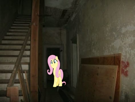 Fluttershy Stimboard, Fluttershy Wallpaper Pc, Fluttershy In Asylum, Fluttershy Scene, Fluttershy Computer Wallpaper, Shin Nana, Pink Wallpaper Hello Kitty, Mlp Memes, Avatar Picture