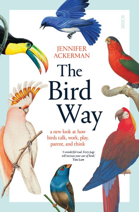 The Bird Way | Book | Scribe Publications Bird Book Illustration, Bird Book Cover, Mindfulness Books, Bird Book, Celtic Tree, Scientific Research, Incredible Creatures, Wild Creatures, The Genius