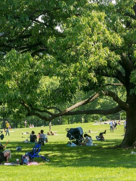 Sunbathing is a popular pastime in Central Park, but how about shadebathing for a change? When the weather is especially hot, our visitors can keep cool by relaxing under the canopy of Central Park’s 18,000 trees. This coverage keeps shaded parts of the Park much cooler than their sunlit counterparts and can protect visitors from direct sunlight, extreme heat, and exhaustion. Some great places to enjoy the shade are along the borders of the Great Lawn, Sheep Meadow, and by the Harlem Meer. Film Moodboard, Background Inspiration, Park Life, Park Square, Weekend In Nyc, Family Park, Meditation Garden, Park Photography, Community Park