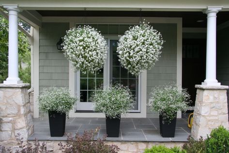 Front Porch Plants, Porch Plants, Patio Flowers, Flowering Bushes, Front Yard Design, Hanging Flower Baskets, Hanging Flower Pots, Front Landscaping, White Gardens