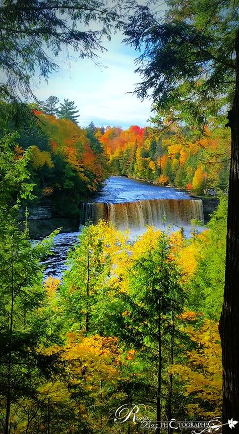 Tahquamenon Falls State Park, upper Peninsula Michigan Michigan State Parks, Tahquamenon Falls, Upper Peninsula Michigan, Upper Peninsula, Autumn Painting, Pure Michigan, Vacation Places, Scenic Landscape, State Park