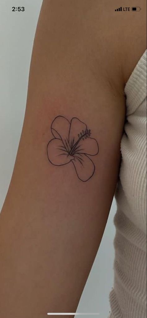 Cred to owner #flowertattoo #hibiscusflower #minimalist #finelinetattoodesign #beachtattoo Quote And Picture Tattoo, Hibiscus Flower Tattoos Simple, Dainty Hawaiian Flower Tattoo, Mini Hawaiian Tattoos, Small Summer Tattoo Ideas, Minimalist Hawaiian Tattoo, Simple Hawaiian Tattoo, Small Hawaii Tattoos, Summer Flower Tattoo