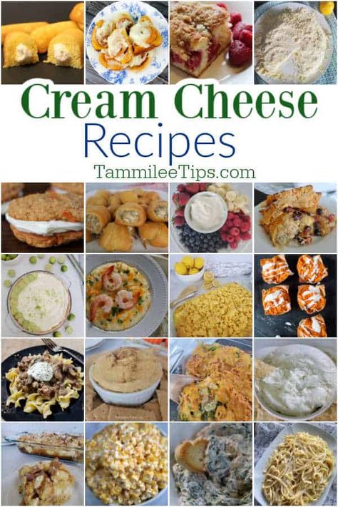 Epic Cream Cheese Recipes! Everything from cream cheese dips, desserts, entrees, appetizers, and so much more! Great ways to use cream cheese in recipes. Easy Cream Cheese Recipes, Cream Cheese Spread Recipes, Cream Cheese Pasta, Cheese Dips, Healthy Summer Dinner Recipes, Beef Stroganoff Crockpot, Cream Cheese Wontons, Crockpot Chicken And Dumplings, Quick Easy Vegan