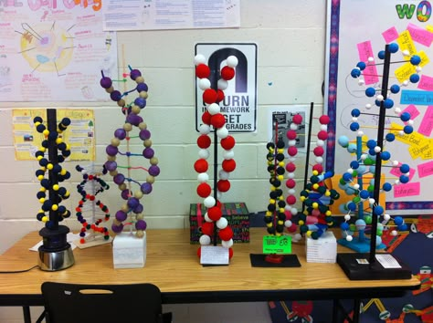 DNA continued Dna Model Project Ideas Biology, Dna Model Project, Dna E Rna, Cell Project, Dna Project, Chemistry Projects, Cells Project, Biology Projects, Biology Resources