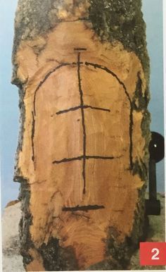 Bark Carving Cottonwood, Sculpture Dremel, Art Sculpture En Bois, Wood Carving Faces, Dremel Carving, Simple Wood Carving, Wood Carving For Beginners, Santa Carving, Face Carving