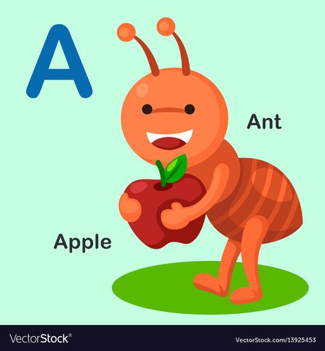 A Is For Ant, Preschool Alphabet Printables, Animal Alphabet Letters, Apple Vector, Kindergarten Reading Activities, Alphabet Pictures, Flashcards For Kids, Kids English, Animal Embroidery Designs