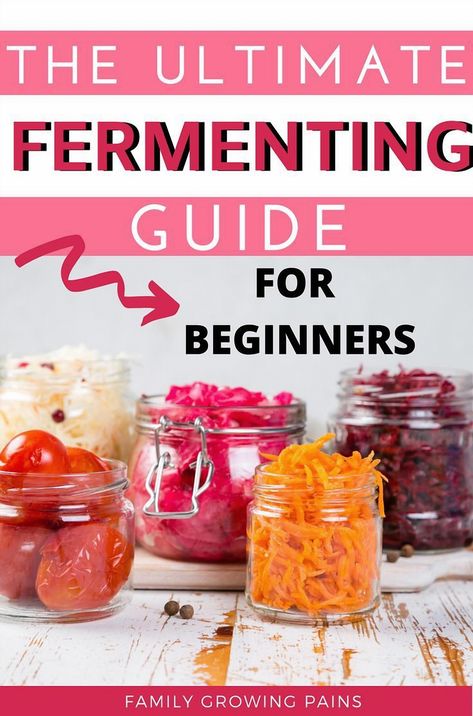 Curious about fermenting foods but feeling a bit overwhelmed? You're in the right place! This guide breaks down everything a beginner needs to know about fermentation. From essential supplies to crafting the perfect brine, we've got you covered every step of the way. Dive in and start your fermenting journey with confidence. Food For Beginners, Basic Brine, Fermented Honey, Fermenting Weights, Natural Probiotics, Fermented Vegetables, Mocktail Recipe, Healthy Homemade, Fermented Foods