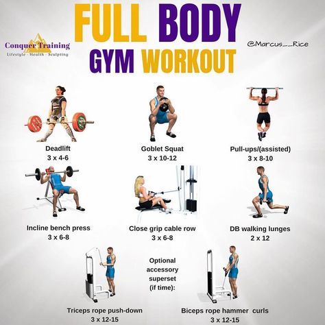 Full Body Gym workout! It is balanced, challenging, and will strategically develop strength and muscle in all the right places. Control the weight on the way up and the way down. Don't let momentum take over. Start light until you have mastered the correct Compound Workouts, Body Gym Workout, Total Body Workout Plan, Gym Girlies, Gym Plans, Full Body Workout Plan, Summer Workouts, Complete Workout, Gym Antrenmanları