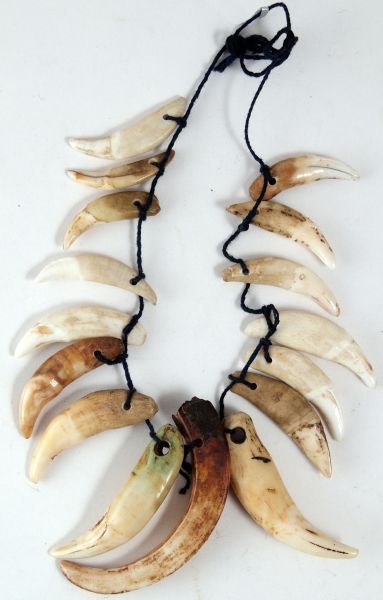 Various tooth amulets, Hill tribes, Vietnam Claw Necklace, Random Aesthetic, Tooth Necklace, Bone Necklace, Bone Jewelry, Organic Jewelry, American Indian Art, Stone Age, Jewelry Images