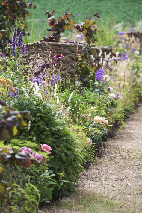 RHS HAMPTON COURT - CONTEMPORARY ROSE MEADOW | Pollyanna Wilkinson Garden Design Hampton Garden, Instagram Roses, Wild Flower Meadow, Blue Garden, Meadow Flowers, Tea Garden, Garden Borders, Rose Tea, Garden Fencing