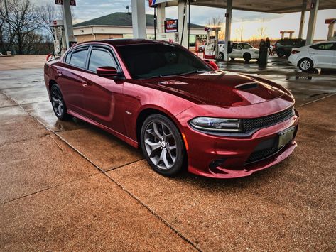 Red Charger, Charger Hellcat, Dodge Chargers, Dodge Charger Hellcat, Hot Wheels Cars Toys, Dodge Charger Rt, Charger Rt, Lux Cars, Hot Wheels Cars