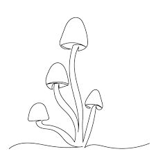 Premium Vector | Mushrooms drawing by one continuous line isolated Mushroom Line Drawing, Lineart Inspiration, Mushrooms Drawing, Mushroom Drawing, Temperate Rainforest, Line Drawings, Continuous Line, Black Line, Line Drawing