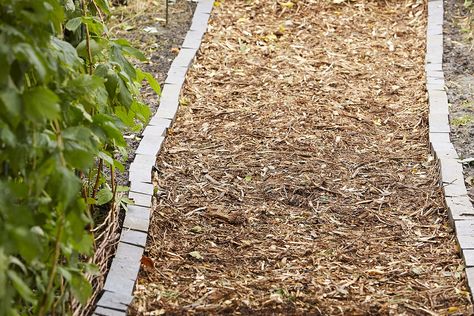 Wood Chip Path Wood Chippings Garden Ideas, Wood Chip Driveway Ideas, Wood Chip Driveway, Allotment Path Ideas, Woodchips Garden Ideas, Woodchip Pathways, Landscaping Woods, Wood Chip Path, Arctic Cabin