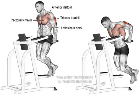 Best Tricep Exercises, Chest Day Workout, Triceps Exercises, Latihan Dada, Tricep Workout, Best Chest Workout, Workout Men, Tricep Dips, Compound Exercises