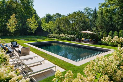 Elegant Cape, Rectangle Pool, Courtyard Pool, Freeform Pools, Cozy Backyard, Outdoor Remodel, Modern Pools, Backyard Pool Designs, Inground Pools